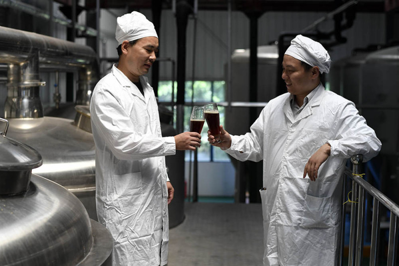 13度!重庆80后小伙自然酿出中国度数最高的啤酒